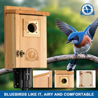 2 Pack Bird Houses For Outside Clearance With Copper Guard  Cedar Bird House Out