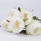 Artificial Peony Silk Flowers Bouquet Home Wedding Decoration 1 Pack 5 Heads    