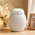 Ceramic Cat Urn For Ashes  Pet Memorial Box With Secure Lid