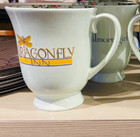 Warner Bros  Studio Tour Hollywood Gilmore Girls Dragonfly Inn Floral Mug  new 