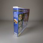 Milestones Daisy Mosaic Stepping Stone Kit Garden Mix   Mold   Gems  Sealed New