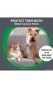Pack Of  2 Cat Flea And Tick Treatment  Frontline Plus For Cats   Kitten 8 Weeks