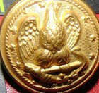 Us Navy  Eagle Buttons Brass One Dozen