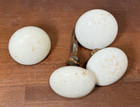 Antique Lot Of 4 White Marbled Porcelain Door Knobs