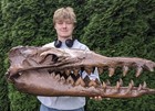 Life Size Zygorhiza Fossil Skull Replica 38        Ct Scan 3d Printed Hand Painted