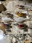 Vtg 12 Mercury Glass Bird Ornaments Clip On With Spun Tails
