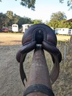 17 5  Devoucoux Harmonie   Dk  Brown  Monoflap Dressage  Saddle