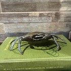Brass Crab Ashtray
