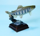 Kitan Club Nature Techni Colour Clear Streams In Japan Cherry Salmon Fish New