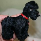 Vintage Steiff Black Poodle Snobby 5 5 