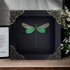 Real Green Damselfly Taxidermy Framed Botanical Wall Art Decor Nature Lover Gift