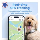 Gps Tracker Smart Dog Tractive Xl Adventure Edition Live Virtual Fence Vital