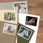 Horses Sheet Of 20  Free Shipping