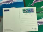 Hong Kong 1999 Postcart Chinese White Dolphin Wwf Stamp