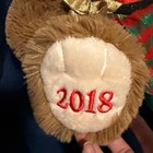 2018 Dan Dee Christmas Snowflake Teddy Bear Brown Girl 20  Red Outfit Nwt