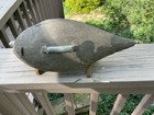 Scott   s Factory Pintail Hen Decoy The Best I Have Seen
