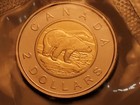 2009 Proof Like Canada 2 Dollar Polar Bear Toonie Pl Coin In Plio Unc