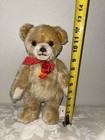 Made In Germany Steiff Brummbaer Genuine Mohair Bear With Tags No Box Vintage