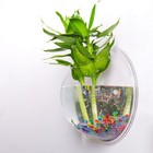 Transparent Plant Pot Wall Mounted Hanging Fish Tank Flower Round Vase Pot8249