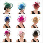 Fascinator For Women Hair Clip Hat Bowler Feather Flower Veil Wedding Party Hat 