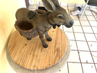 Standing Donkey Jackass Mule  read Description  Just Beautiful  See Photo s