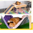 Large Guinea Pig Hammock With Platform   Stairs - Wooden Hideout For Small Pets