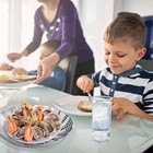 Collapsible Stainless Steel Vegetable Steamer Basket - Fits Pots 5 3 To 8 6