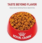 Royal Canin Breed Health Nutrition Labrador Retriever Adult Dry Dog Food  30-lb