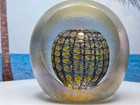Tom Philabaum Handblown Art Glass Paperweight Frost Reptilian 3 5  Signed 2012