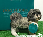 Grey Shih Tzu Ornament Figurine Quality Realistic Leonardo Range  Gift Boxed 