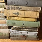 Vintage Lot Of 20 Camp Fire Girls Books 1912-1920 Juvenile Literature