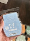 Scentsy Wax Bars Lot 13 Melts Holiday Christmas Winter Fall Scents