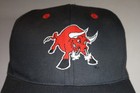 Vintage Tucson Toros Minor League Baseball Cap Hat 