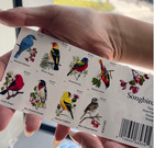 Us   4891b Songbirds  2014  - Booklet Pane Of 100 Forever Stamps  New Mnh
