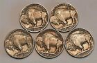 Five 5 Full Date Buffalo Nickels With Five Different Dates 