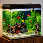 20 Gallon Glass Fish Tank Aquarium Starter Kit With Self-cleaning Filter Led