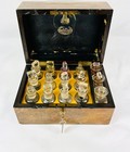 Edward Gould   Son   Homeopathic Chemist   s Apothecary Box   Late 19th Century