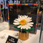 Brand New G-dragon 818 Bloom Block Oxford Collab