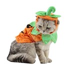 Cat Dog Halloween Costume Pumpkin Hat Cape Small Pet Kitty Puppy Poncho Set