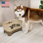 Neater Feeder Express Mess Proof Elevated Dog Bowl Set For Medium-large Breed