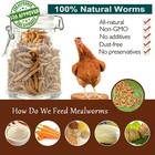 Bulk Dried Mealworms Non-gmo For Birds Chickens Hen Fish Reptile Turtles 44 Lbs