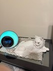 Rosenthal Porcelain Persian Cat in Perfect Condition  Fully  Marked By T  Karner