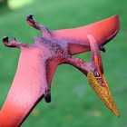Pterodactyl Dinosaur Action Figure Toy Model Flying Prehistoric Bird Figurine