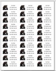 150 Arabian Horse Flowers Mailing Return Address Labels Personalized