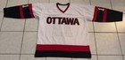 Daniel Alfredsson Signed Autographed Ottawa Senators Custom Hockey Jersey Jsa