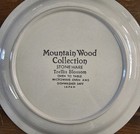 Vintage Mcm Mountain Woods Collection Trellis Blossom Line 12 Cup Saucer Sets