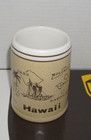 Vintage Hawaii Island Souvenir Coffee Mug Rb Made In Japan 10oz