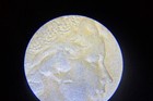 Canadian One Cent Dove 1876-1967 Rare Elizabeth 2nd Unique Coin Good Condition