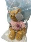 Avon Breast Cancer Crusade Bear Sealed In Bag Pink Ribbon Small Stuffed Bear