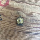 Antique 1914 Seattle Fair Tilikum Washington Golden Potlatch Bug Enamel Pin